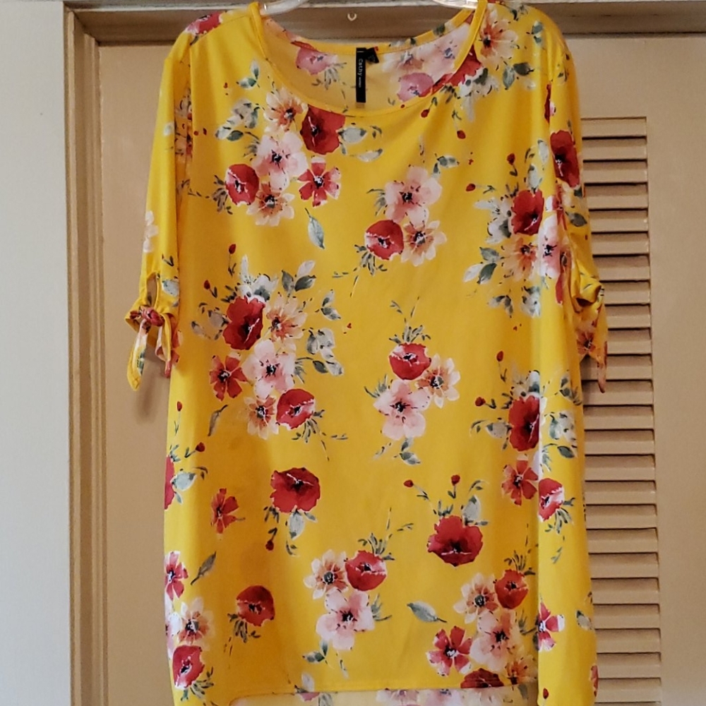 Cathy woman beautiful blouse size 2x nwots
